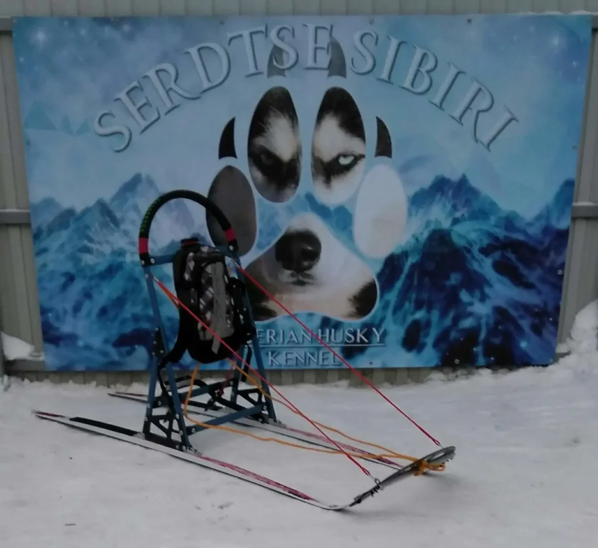 Иллюстрации Ирины Павлишиной