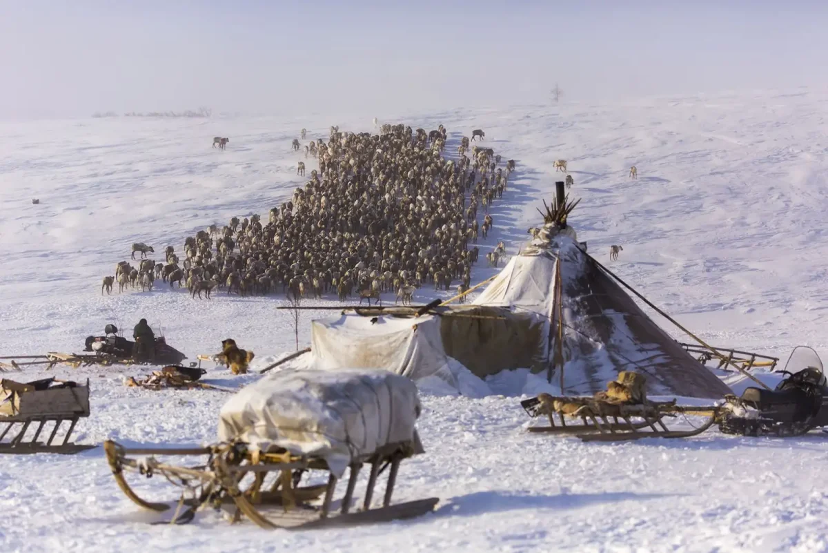 Ненцы зима ЯНАО