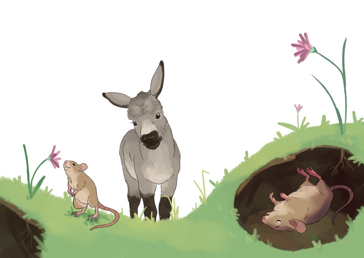 Басни Крылова читать