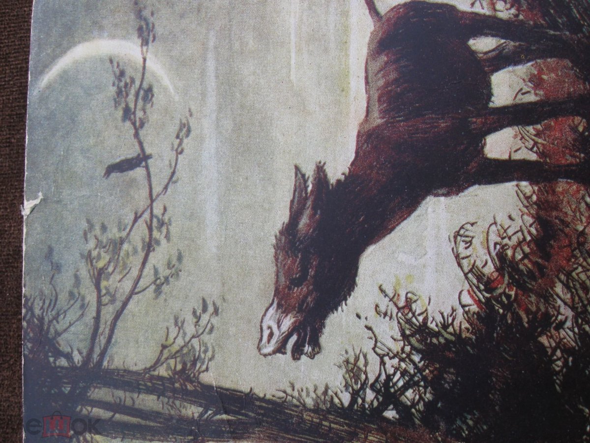 Девушка обнимает осла