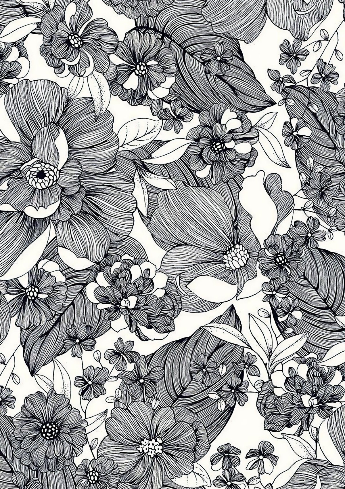 Графика цветы черно белые