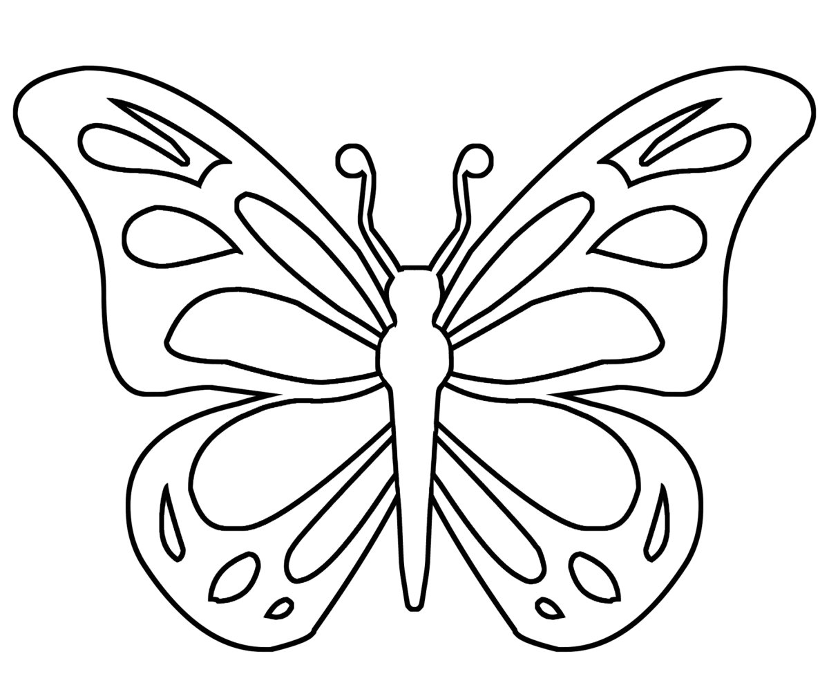 Трафарет красивой бабочки