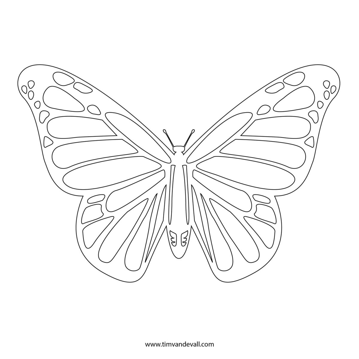 Рисунок бабочки для вырезания