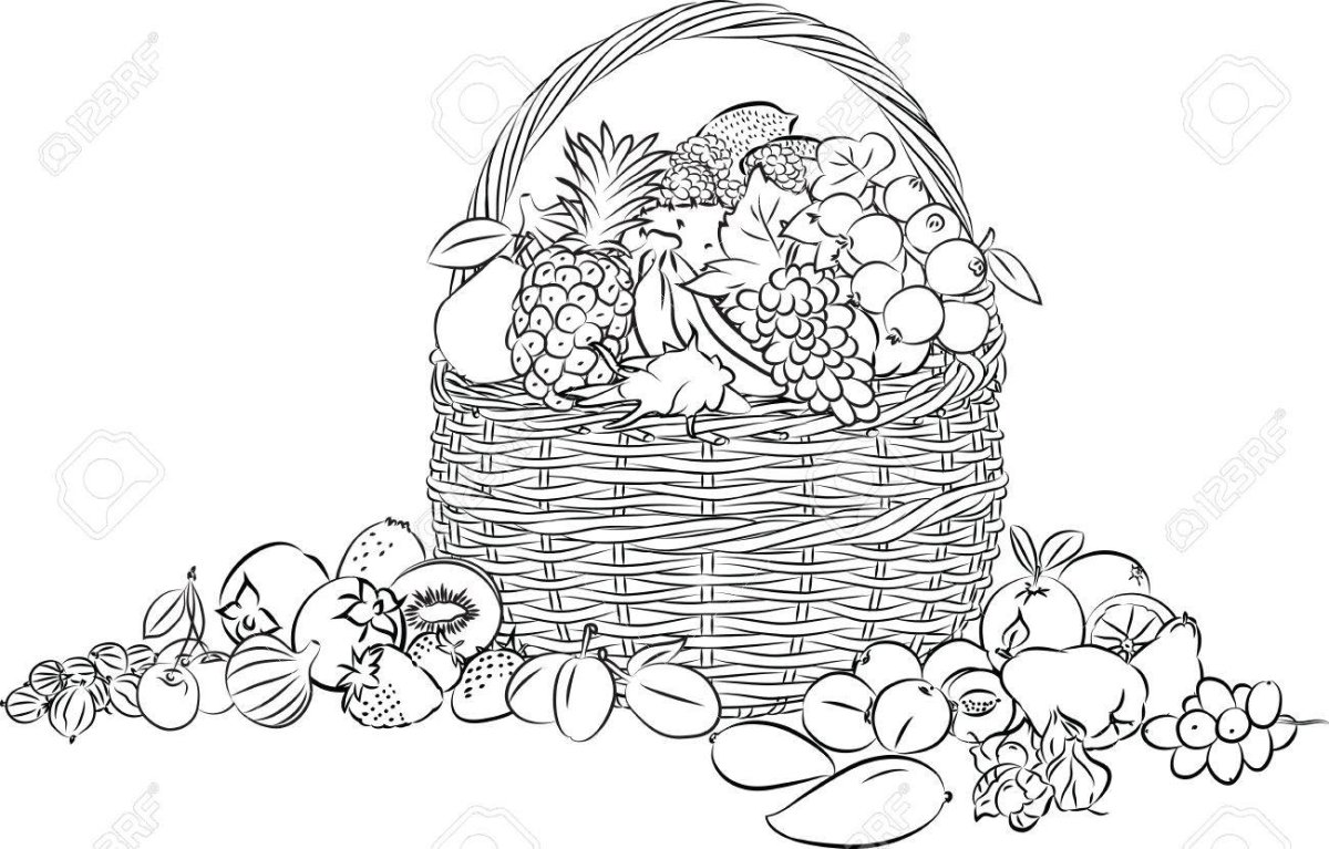 Корзина с фруктами карандашом