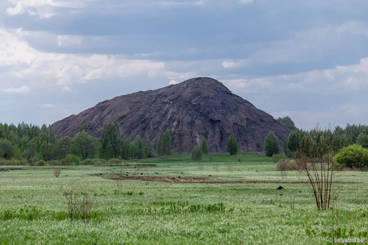 Раскраска природа для детей