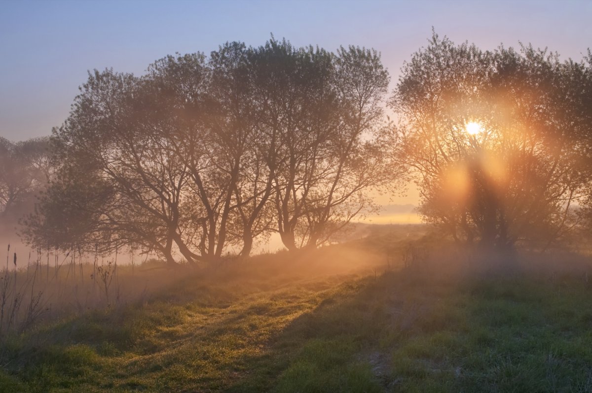 Панич Владимир Игоревич художник картины