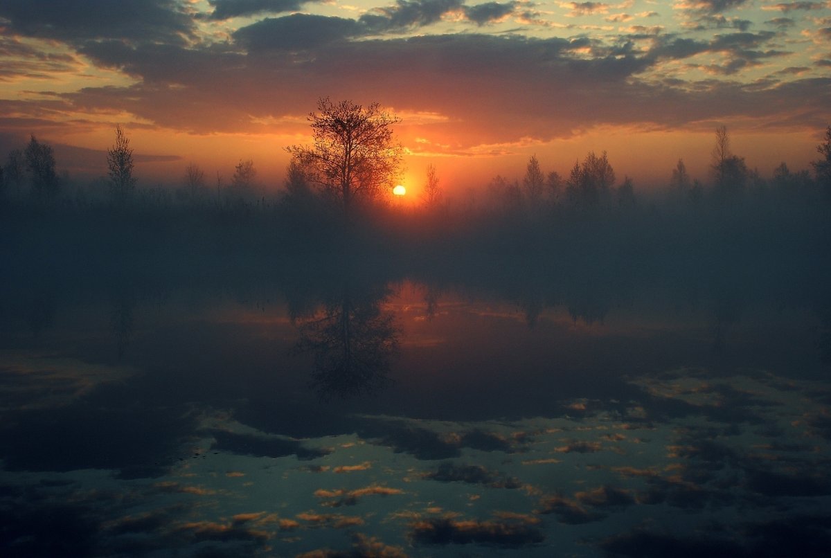 Закат маслом