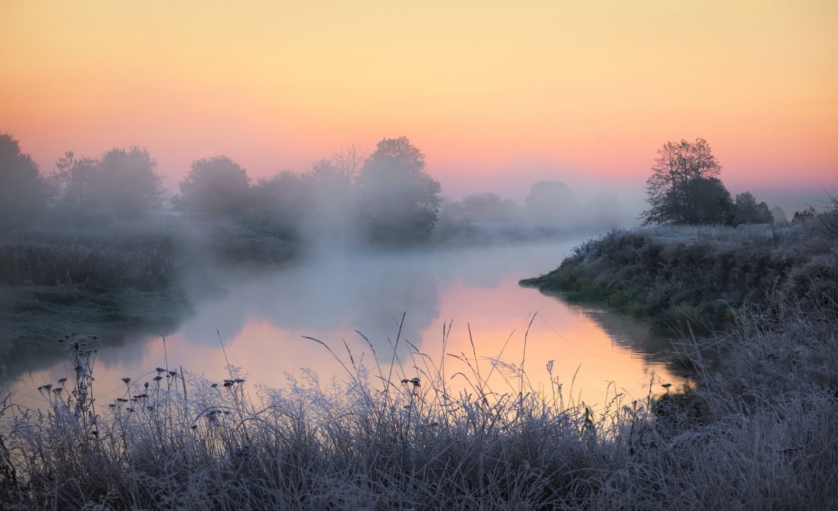 Стихи русских поэтов
