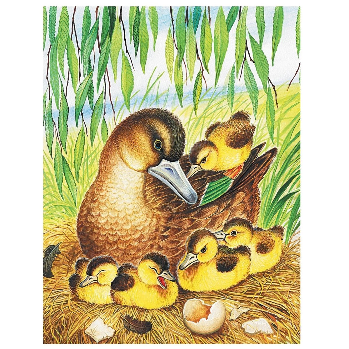 Пришвин утята