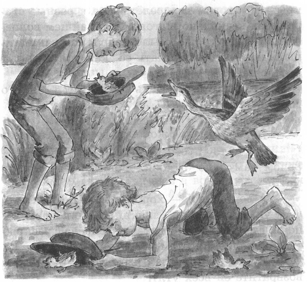 М пришвин ребята и утята