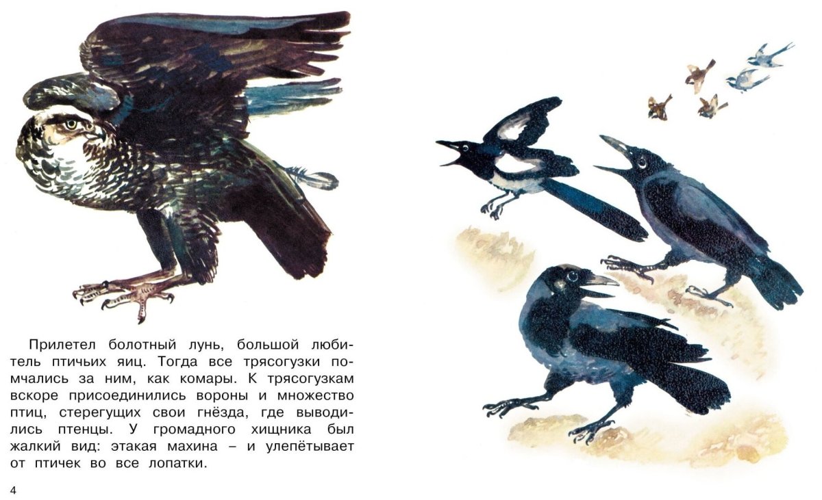 Гадкий утенок вылупился