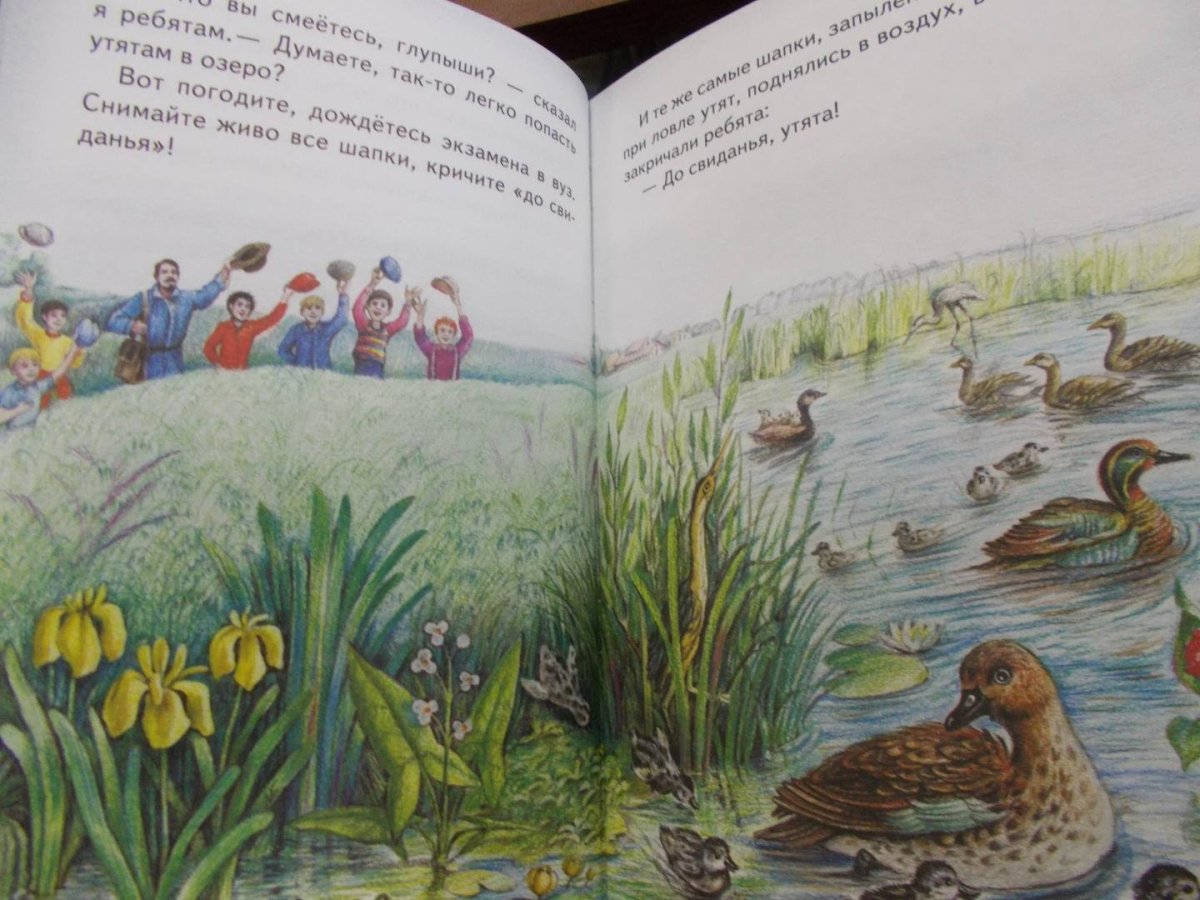 Хромка пришвин