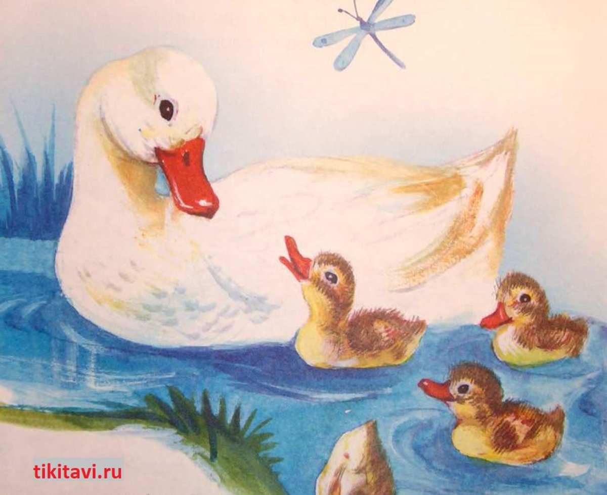 Утка с утятами раскраска