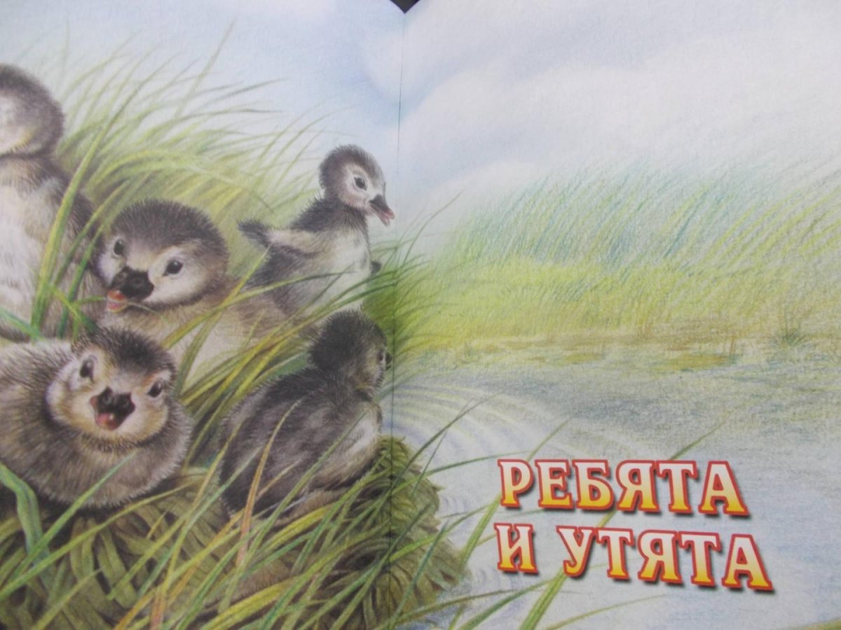 М.М пришвин ребята и утята книга