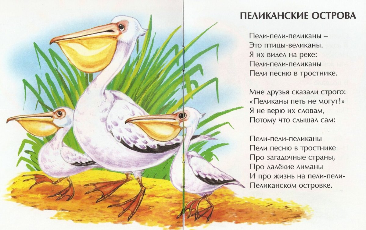 Утята черно белые