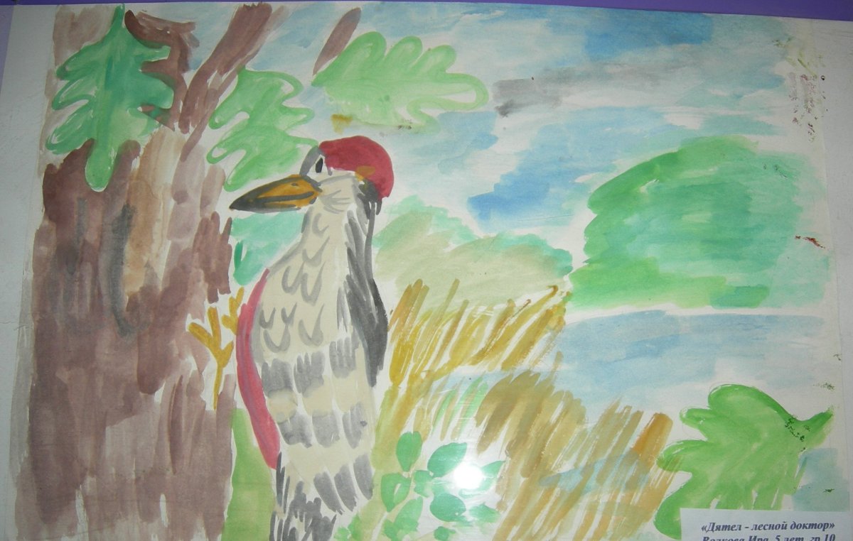 Утки идут на речку