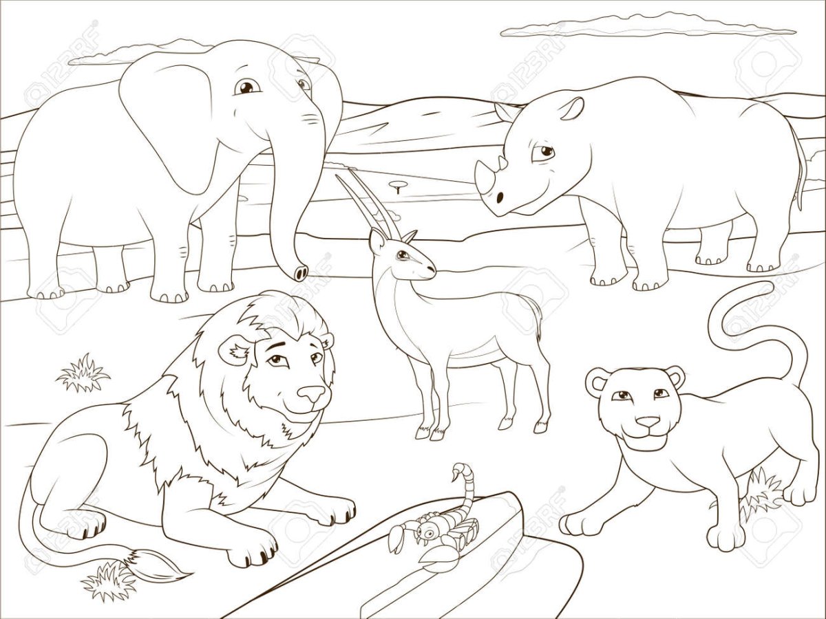 Жители севера раскраска для детей