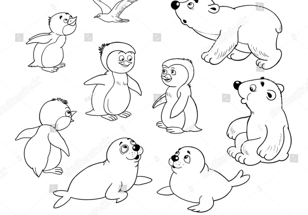 Контурные изображения животных севера