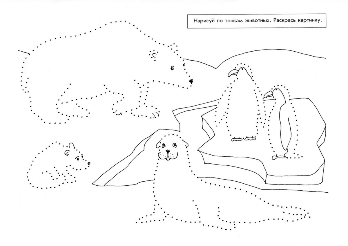 Обитатели Арктики для вырезания