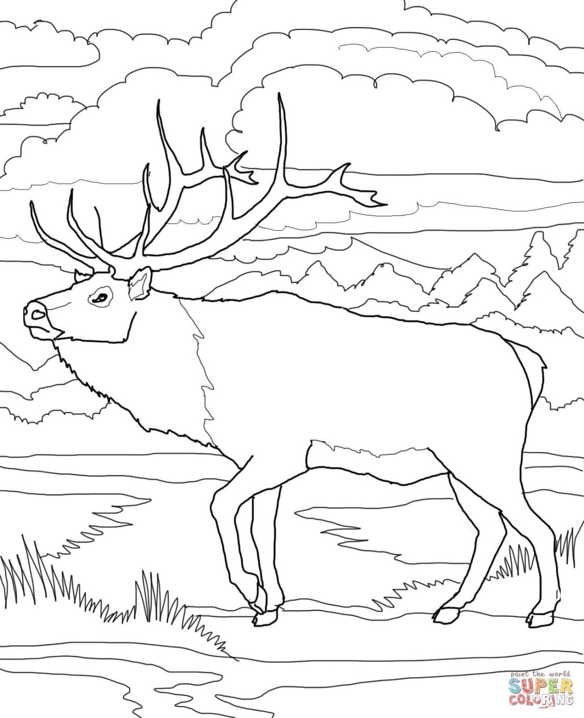 Животные севера задания