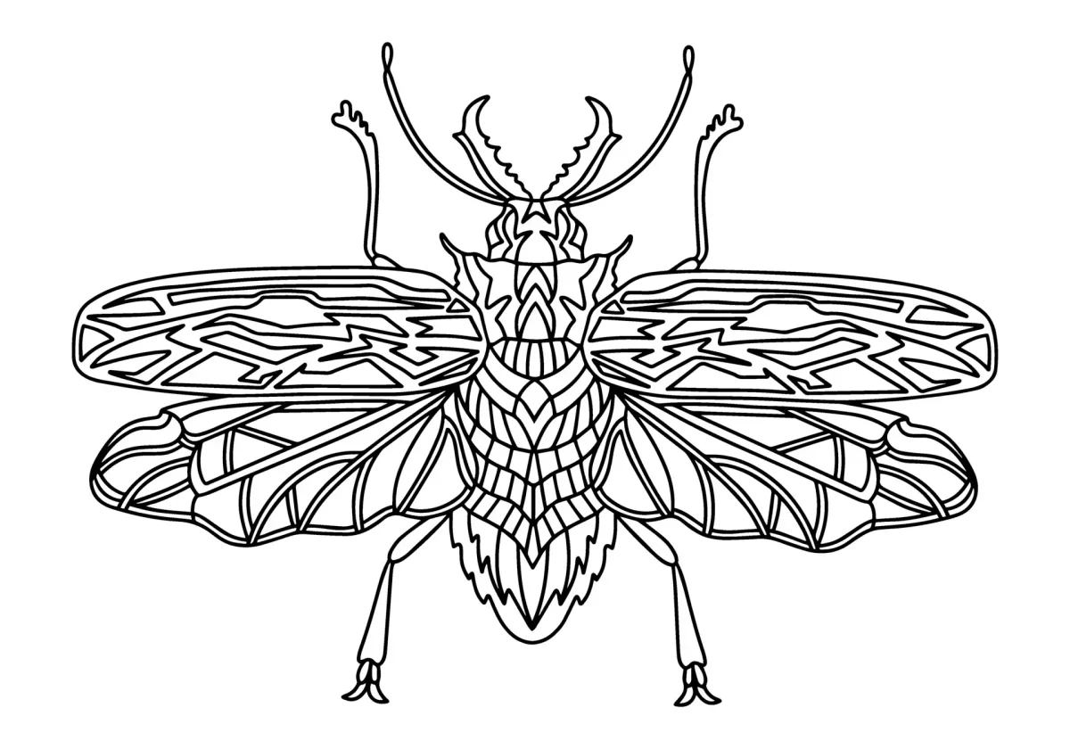 Дровосек реликтовый