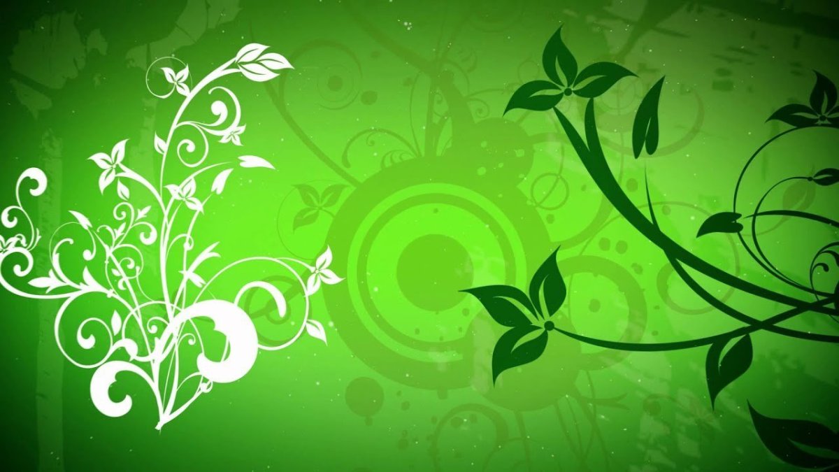 Зеленый мусульманский фон с узорами