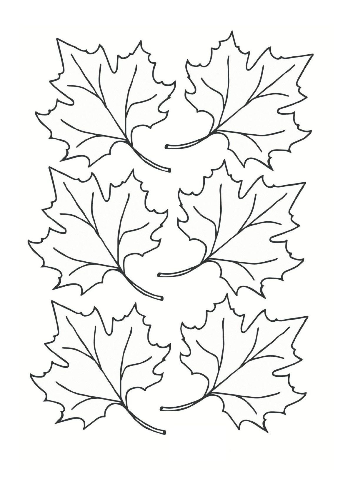 Контур кленового листа а4