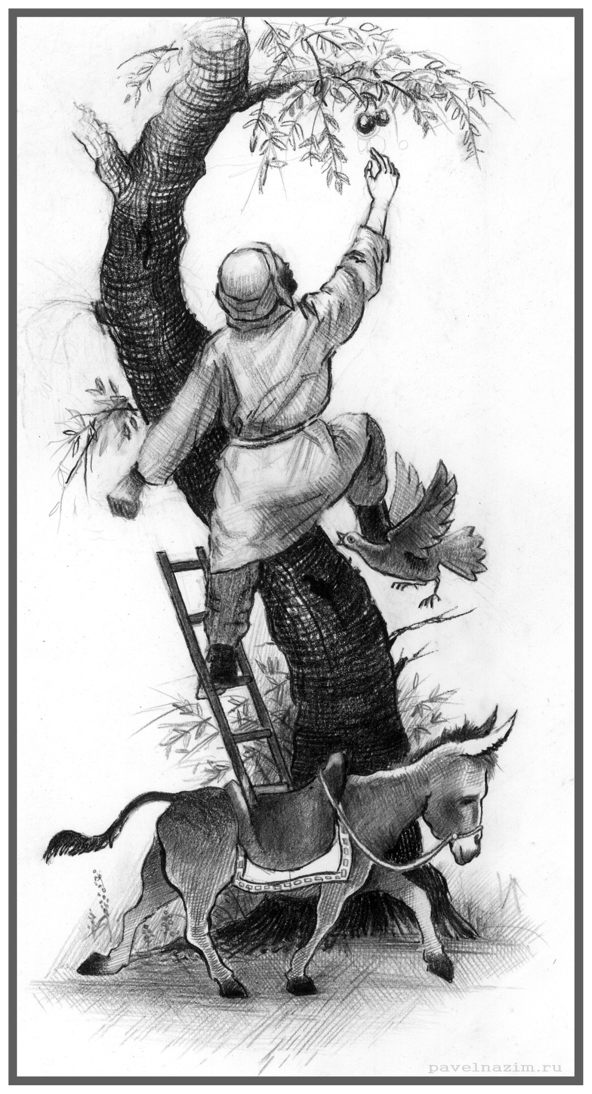 Чапан Ходжа Насреддин