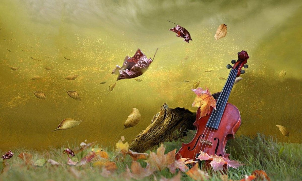Скрипка осень