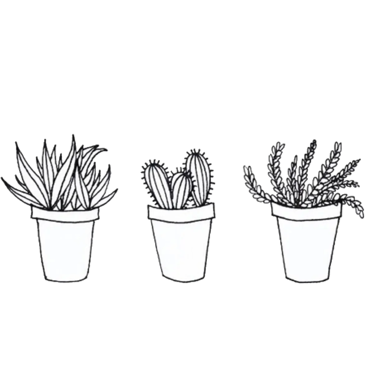 Скетч рисунки для раскрашивания