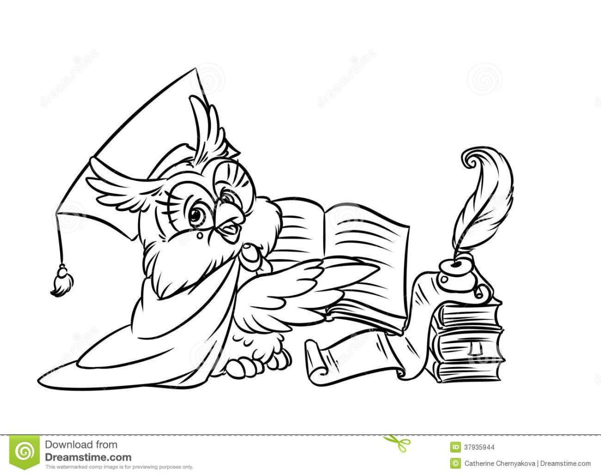 Раскраска мудрая Сова с книгой