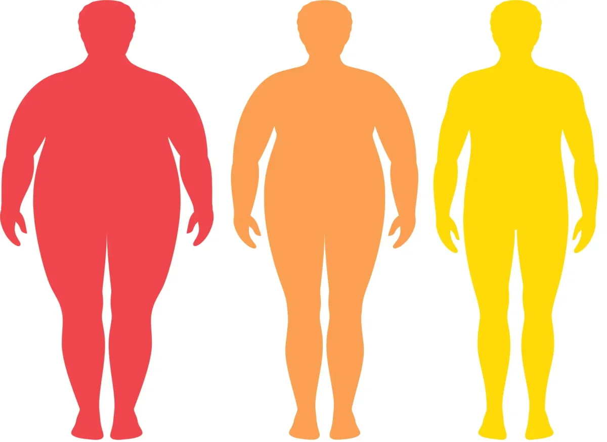 Fat anime Weight gain Comics откармливание