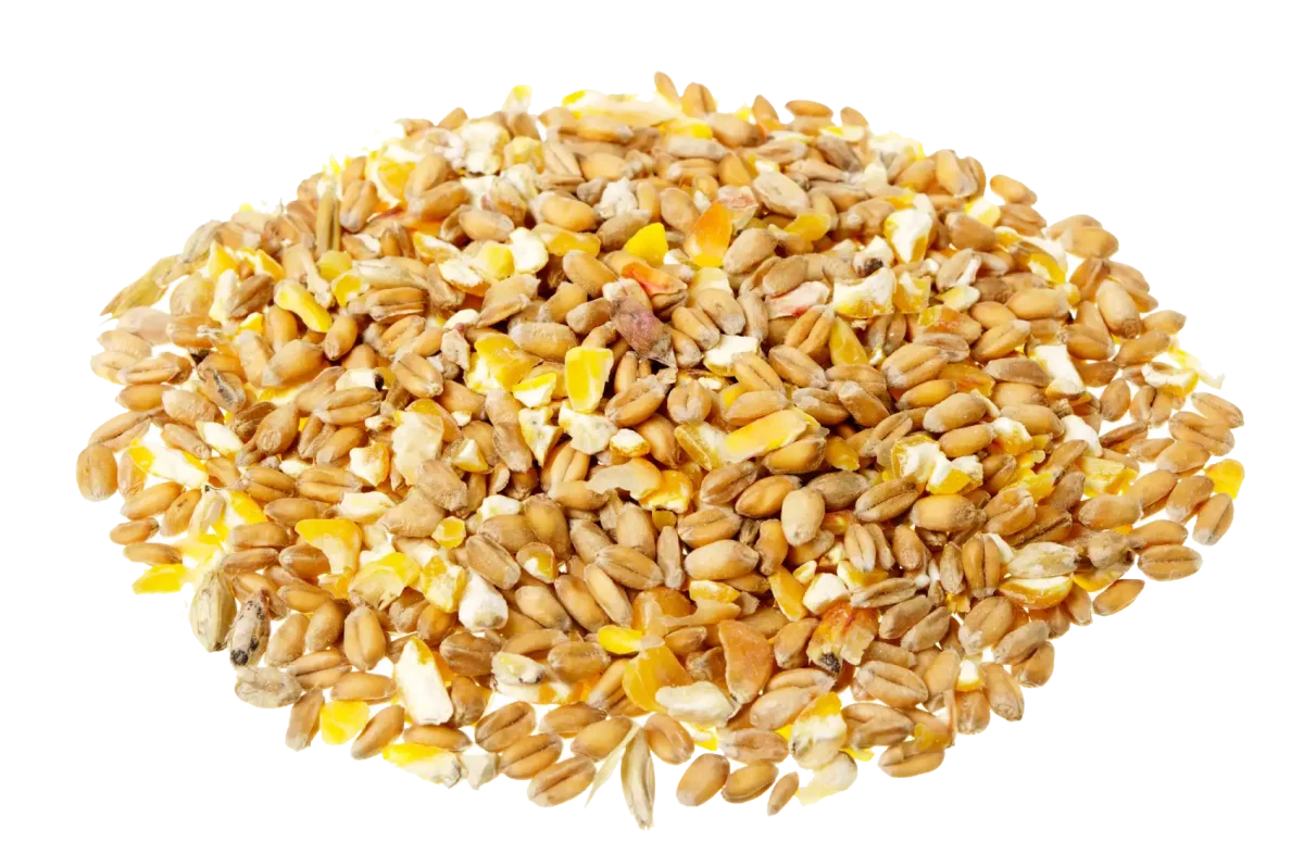 Кукуруза дроблёная