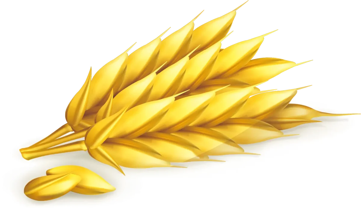 Колос для детей