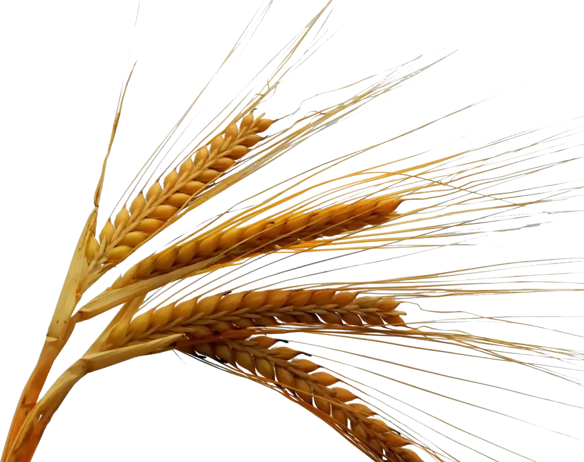 Мешочек с кофейными зернами