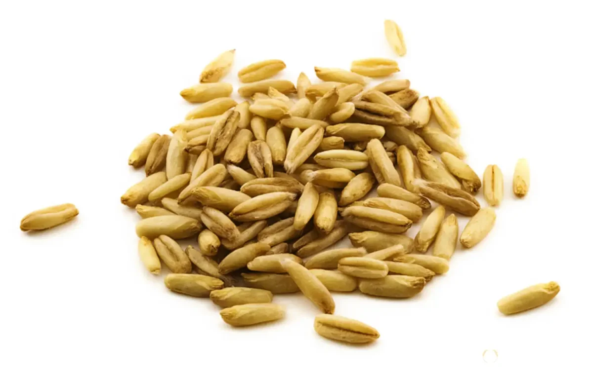 Овес голозерный ги