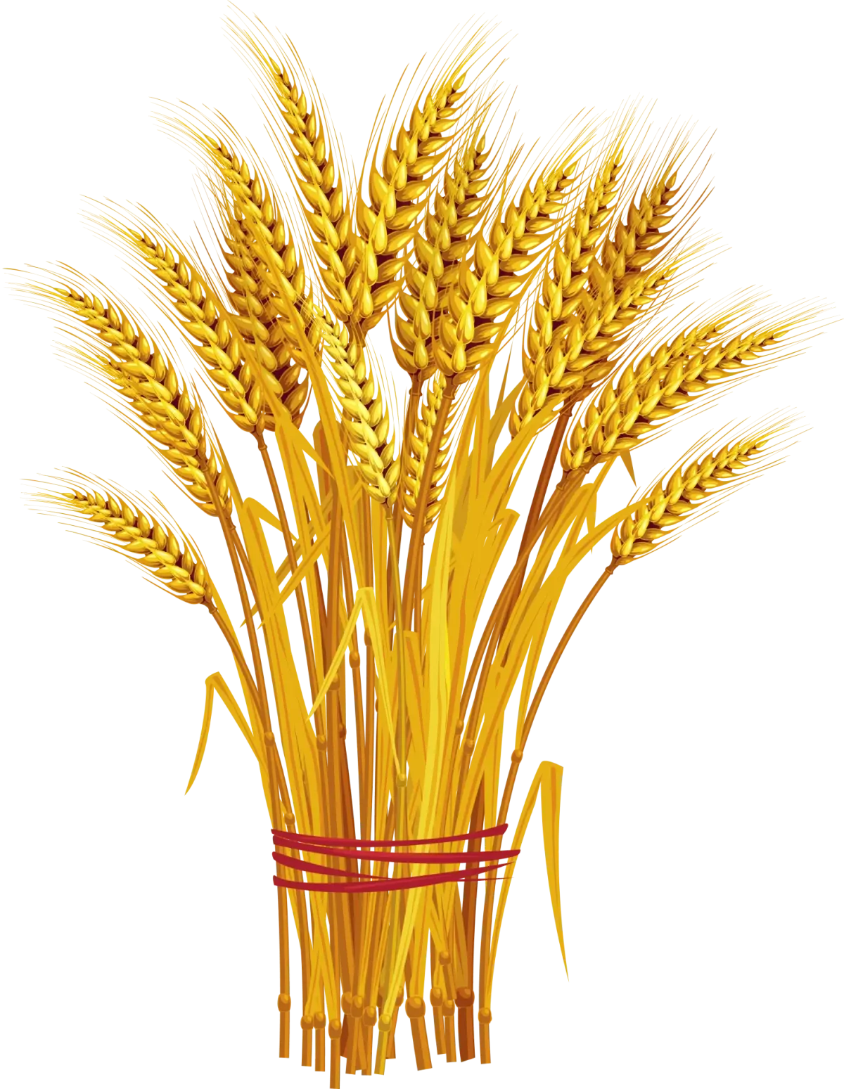 Пшеничка колосок