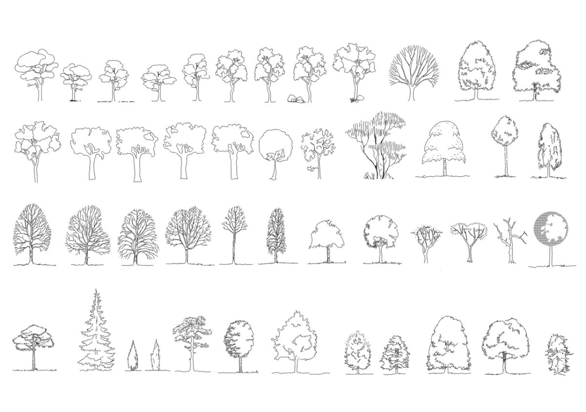 Архитектурная Графика кусты