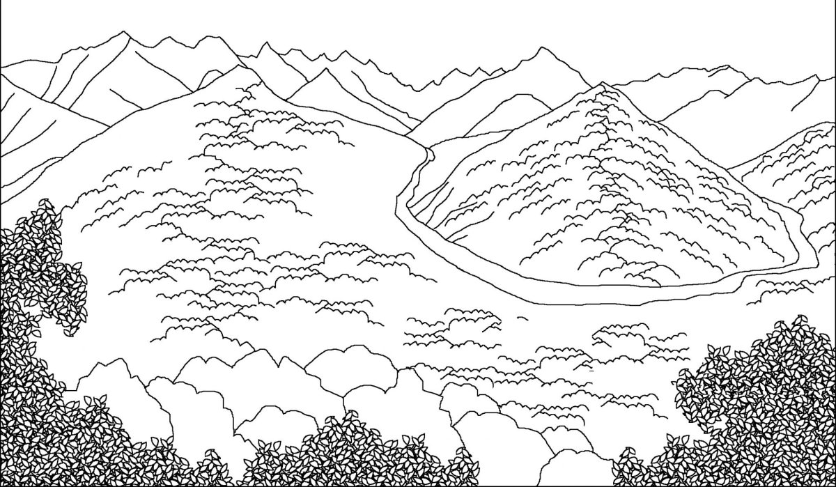 Раскраска природа растения