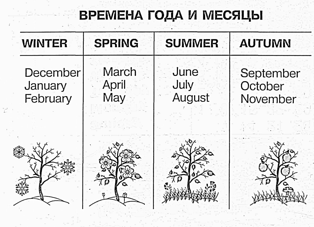 Времена года и месяцы на английском