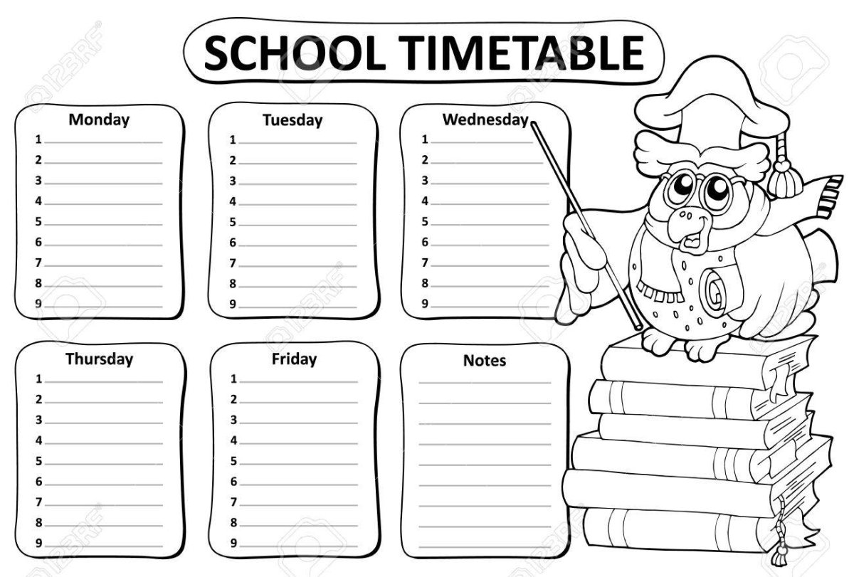 Круг разделенный на части