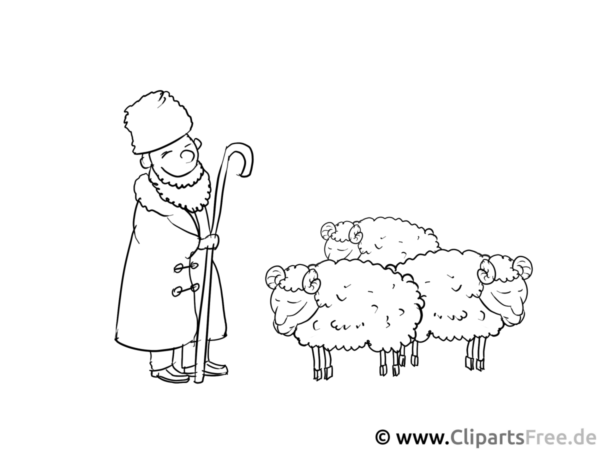 Раскраска пастух и овцы