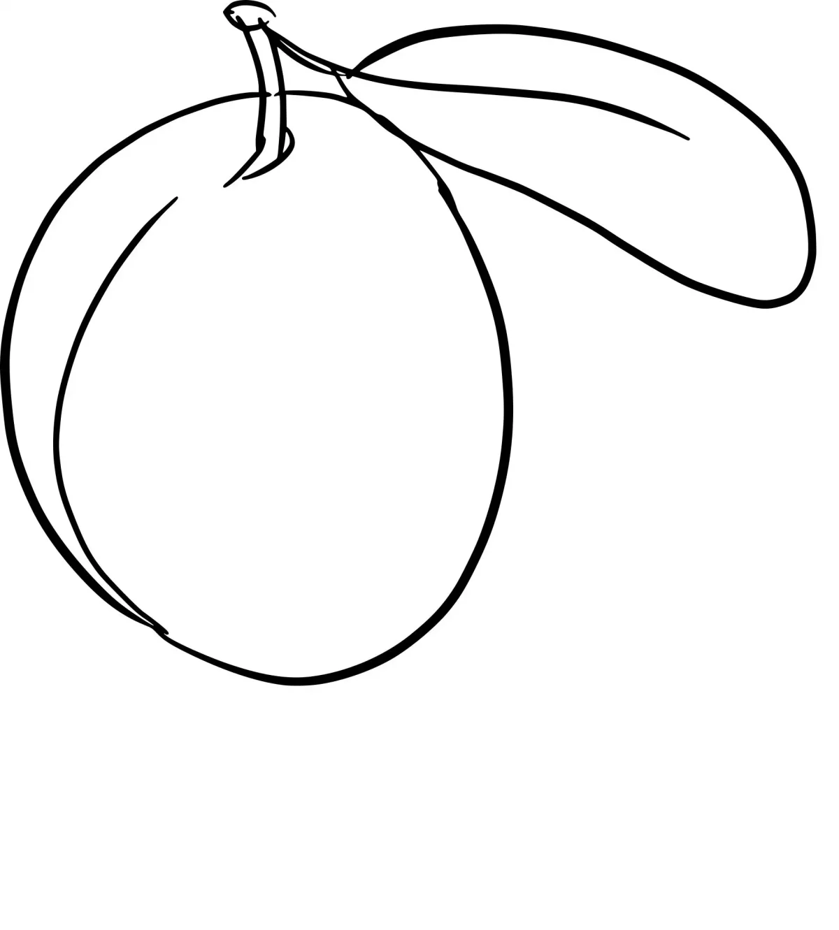 Рскраскафрукты иягоды