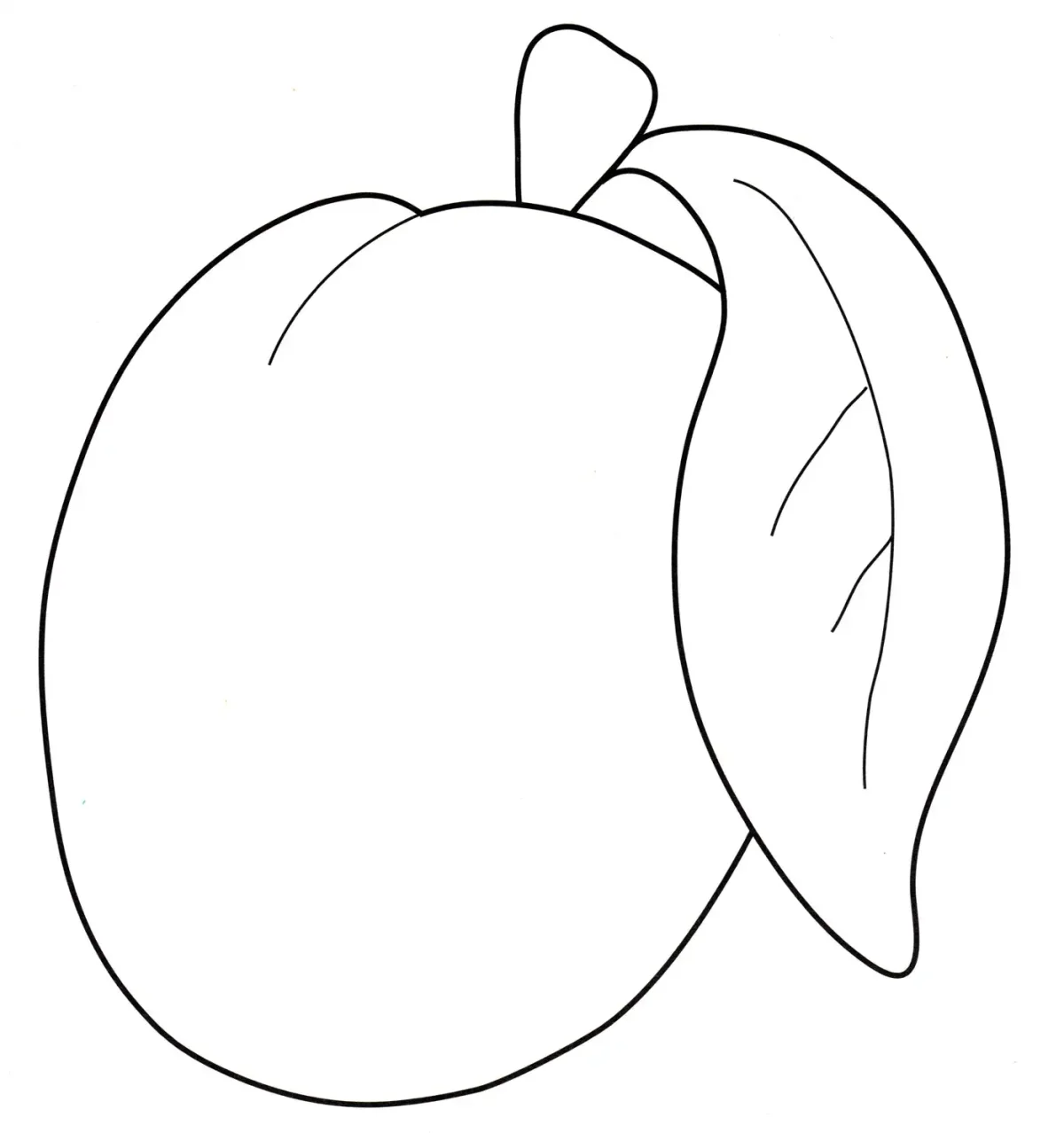 Абрикос раскраска