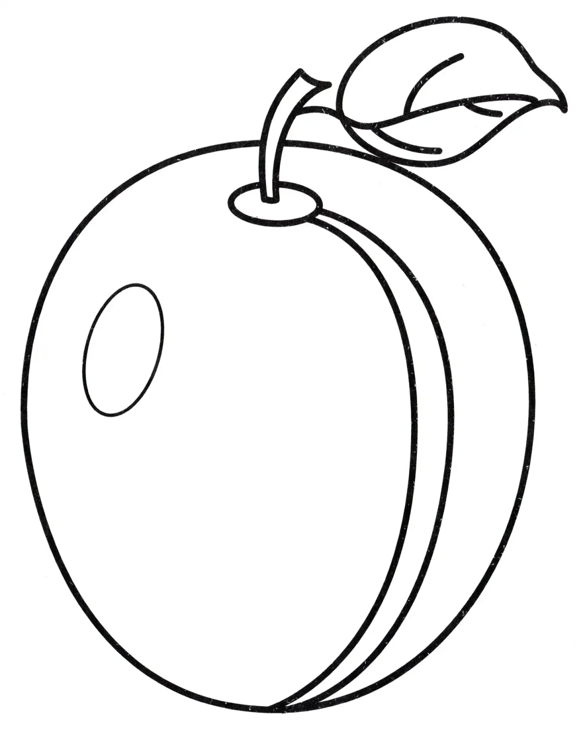 Лист сливы раскраска