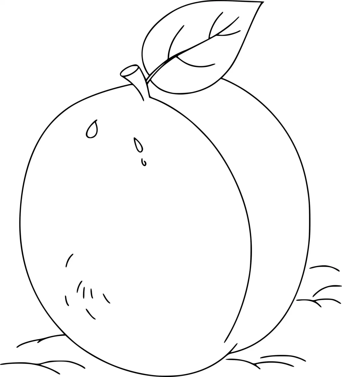 Слива раскраска для малышей