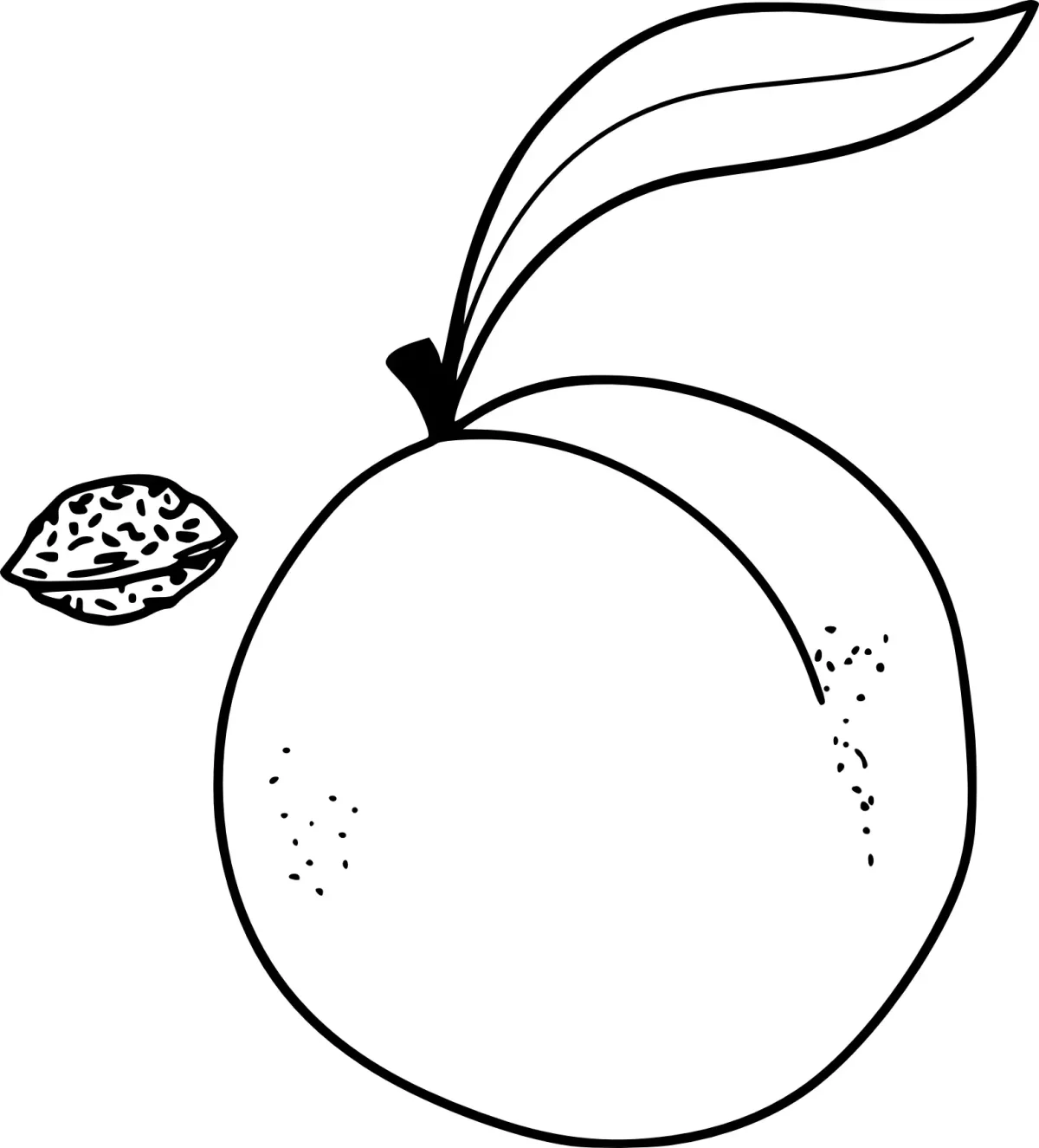 Фрукты картинки раскраски