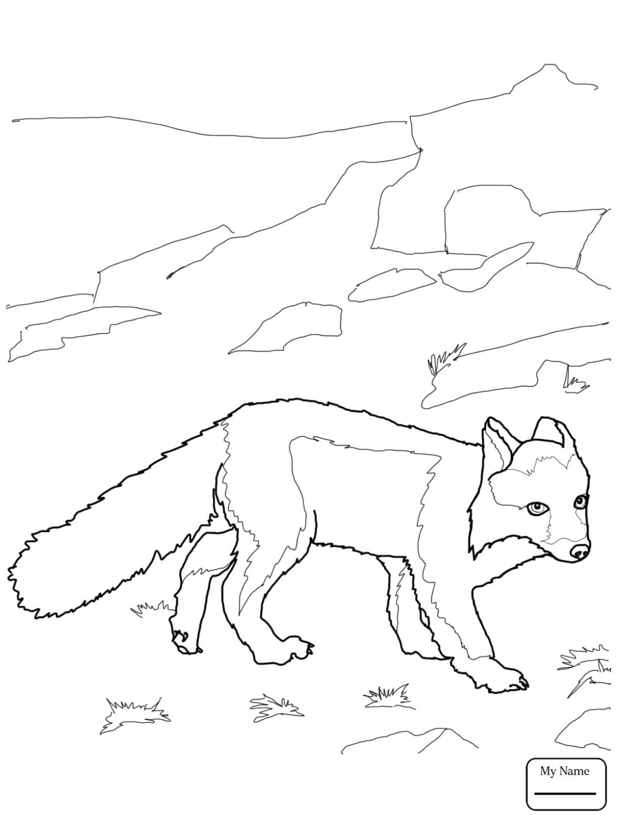 Песес раскраска для детей