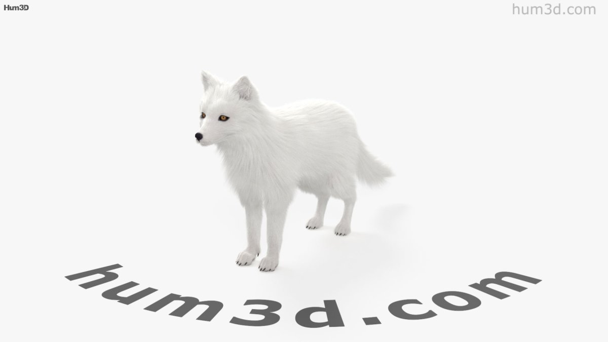 Раскраска леса