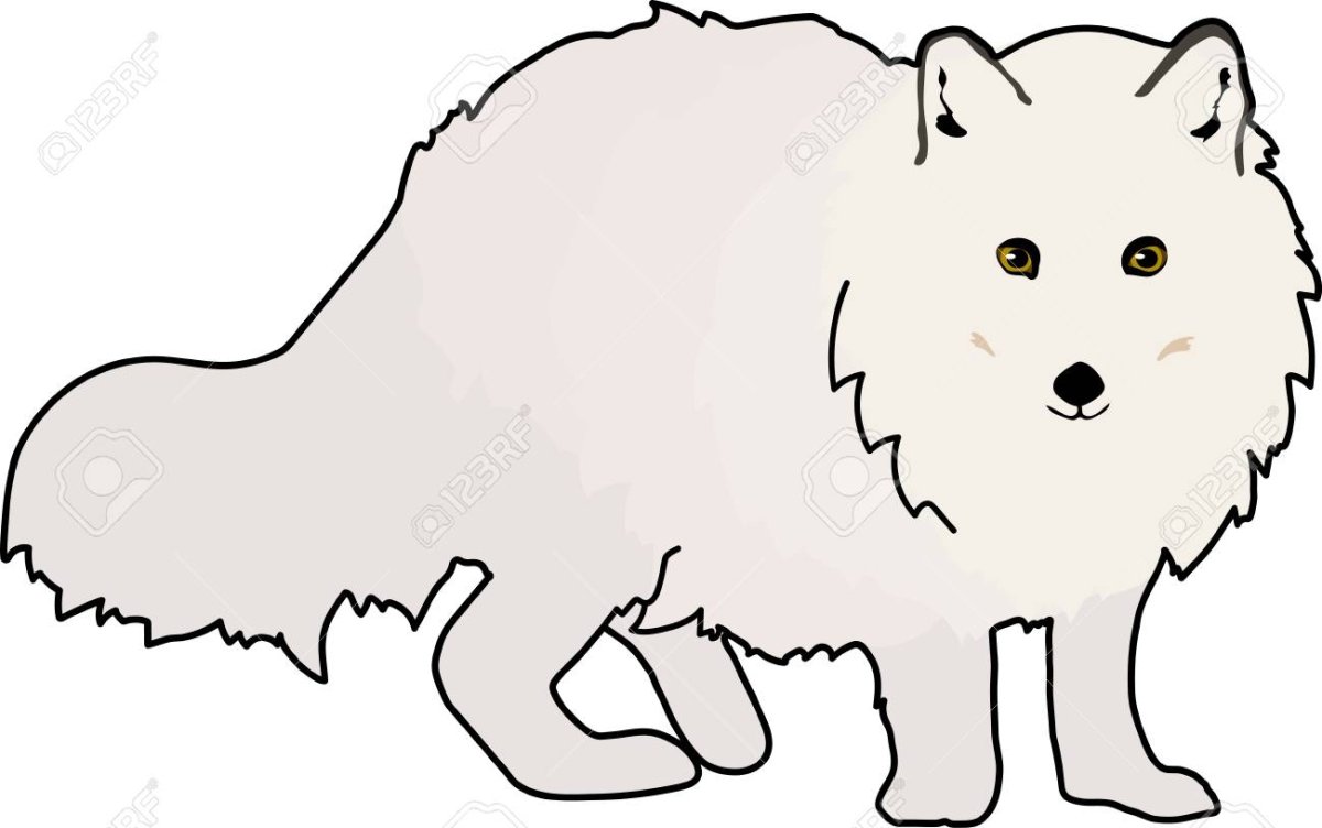 Писец вектор